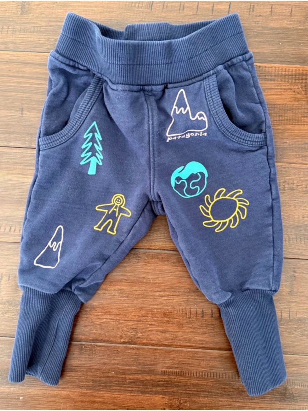 Patagonia Navy Sweatpants with Colorful Nature Graphics